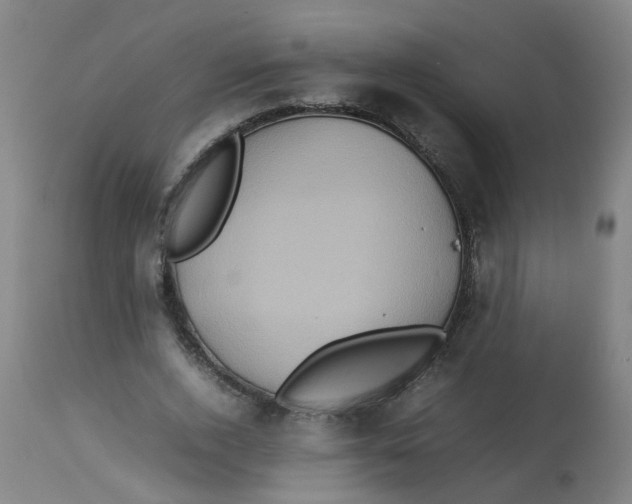 X0000112770728200909171312