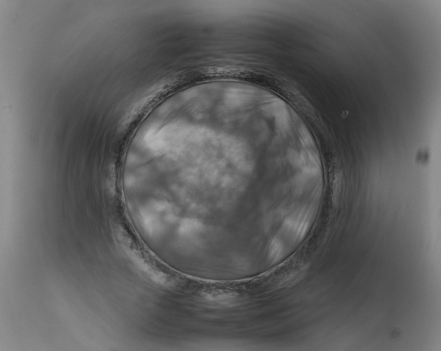 X0000112770729200909171312