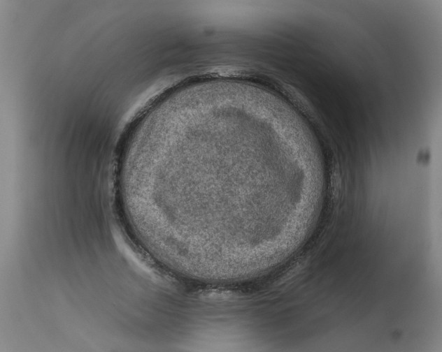 X0000112770730200909171312