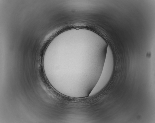 X0000112770732200909171312