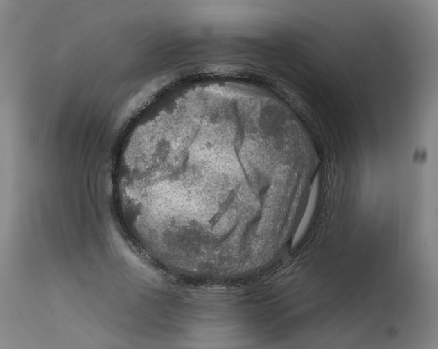 X0000112770734200909171312