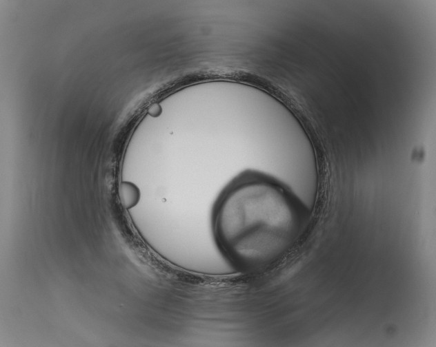 X0000112770736200909171312