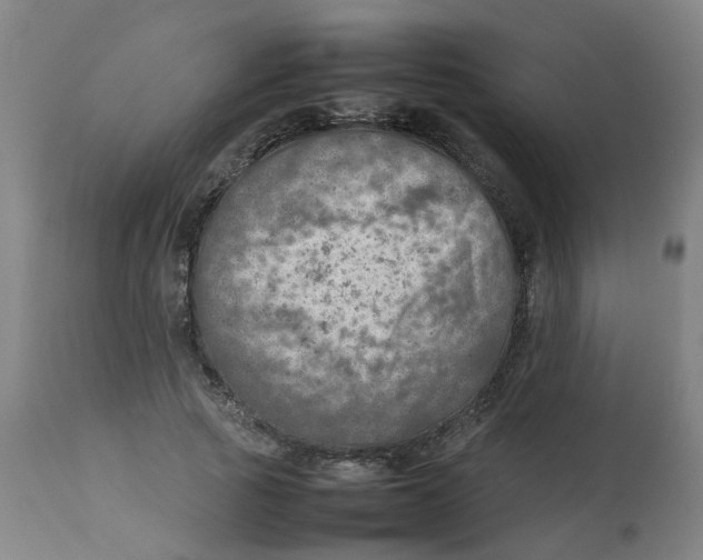 X0000112770737200909171313