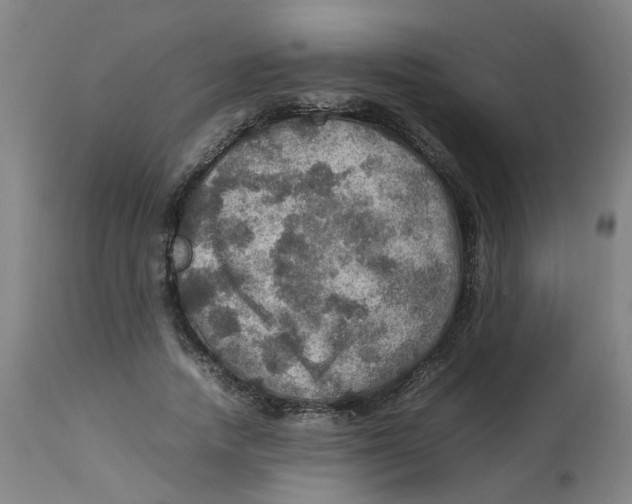 X0000112770738200909171313