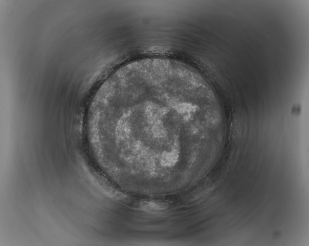 X0000112770739200909171313