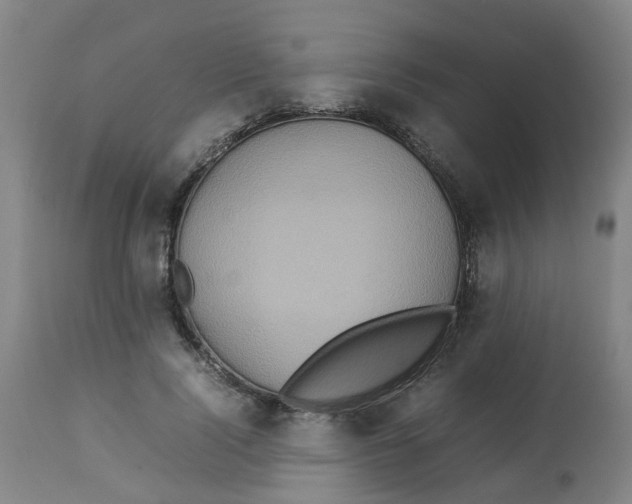 X0000112770740200909171313