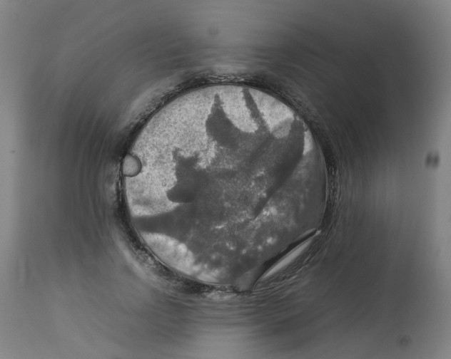 X0000112770742200909171313