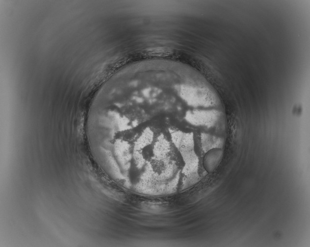 X0000112770745200909171313