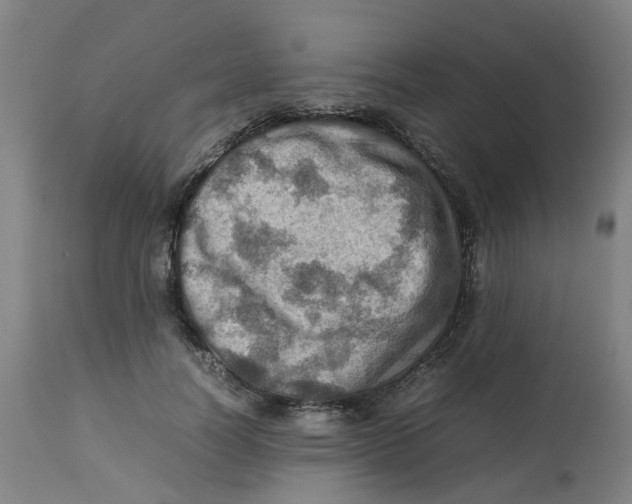 X0000112770746200909171313