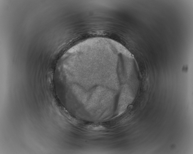 X0000112770747200909171313