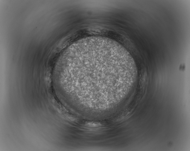 X0000112770749200909171313