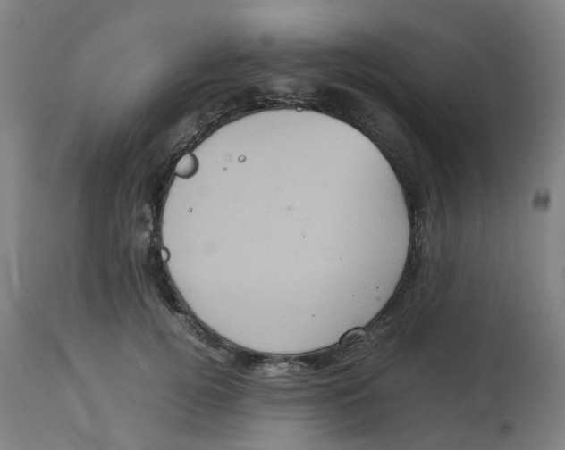 X0000112770752200909171313