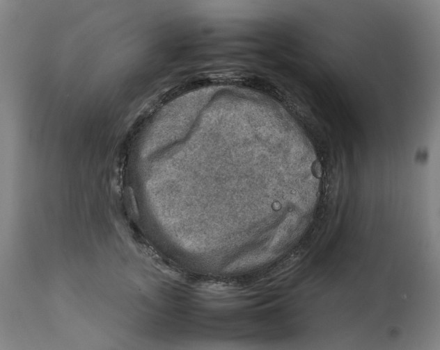 X0000112770755200909171313