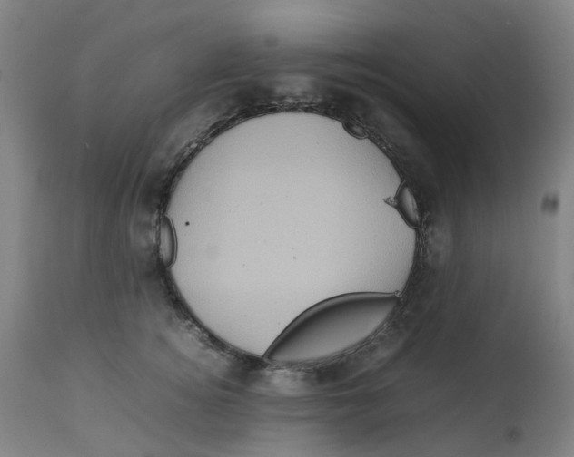 X0000112770756200909171313