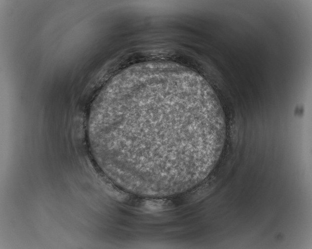 X0000112770757200909171313