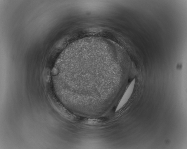 X0000112770758200909171313