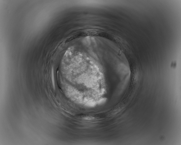 X0000112770759200909171313