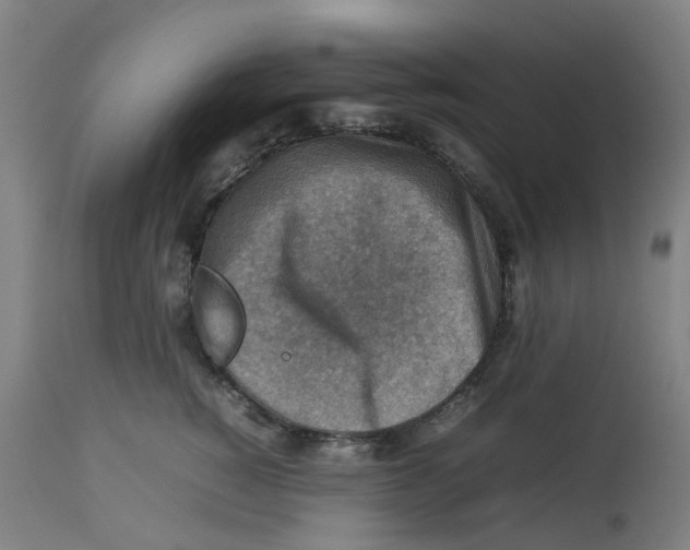 X0000112770760200909171313