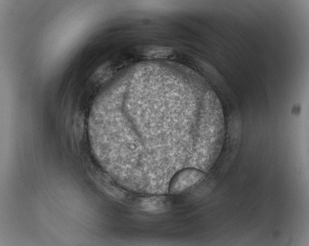 X0000112770761200909171313