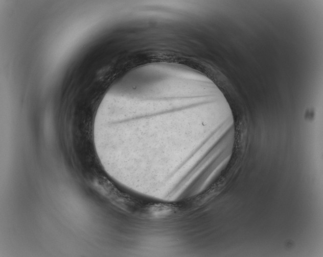 X0000112770762200909171313