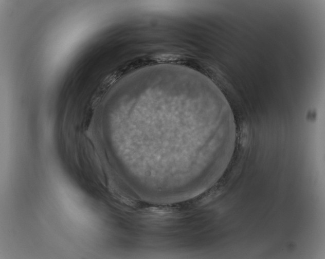 X0000112770763200909171313