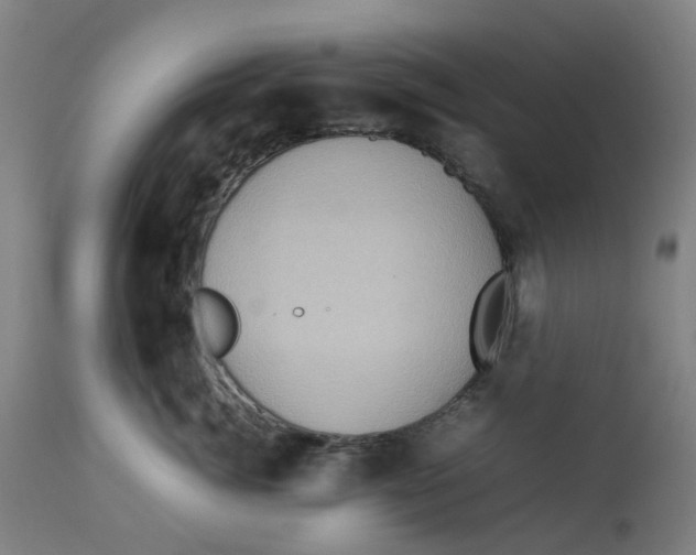 X0000112770764200909171313