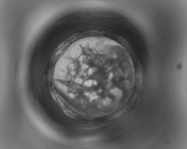 X0000112770765200909171313