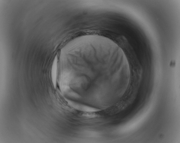 X0000112770767200909171313