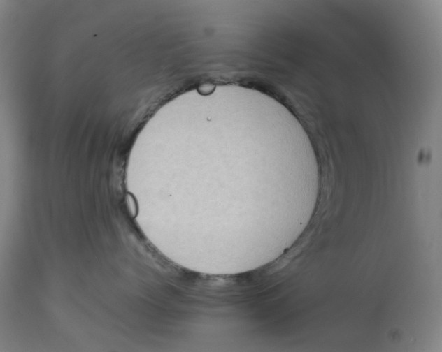 X0000112770768200909171313