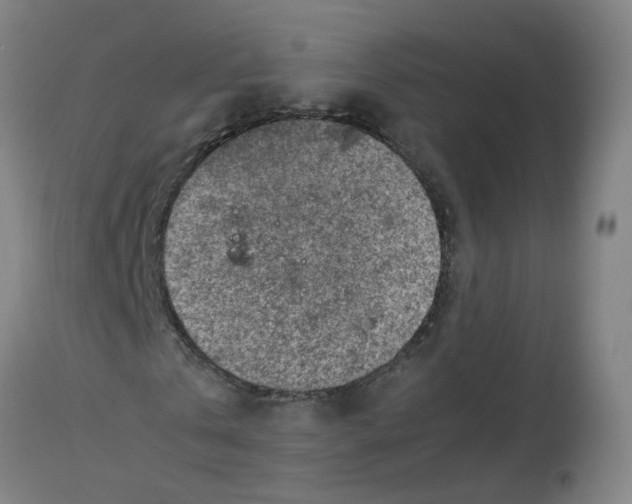 X0000112770769200909171312