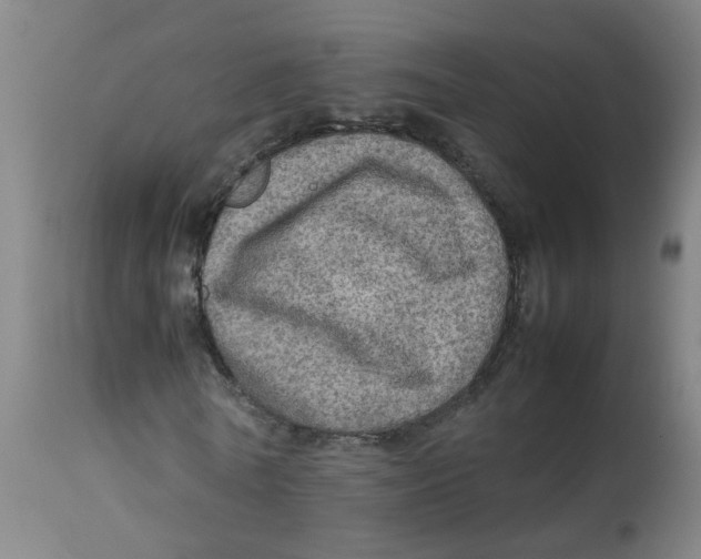 X0000112770770200909171312