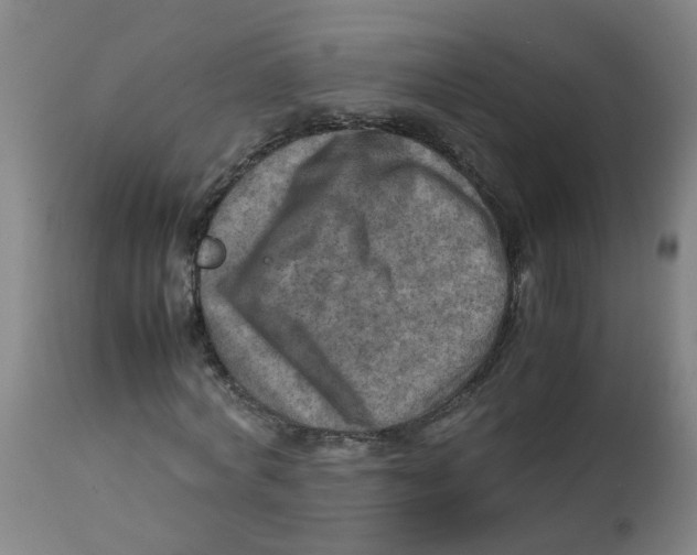 X0000112770772200909171312