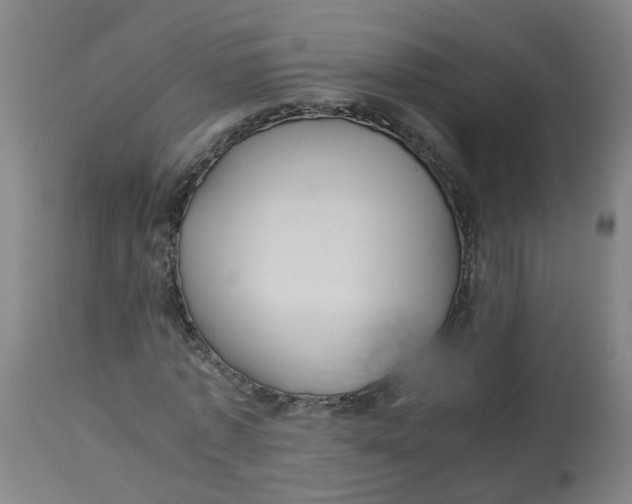 X0000112770773200909171312