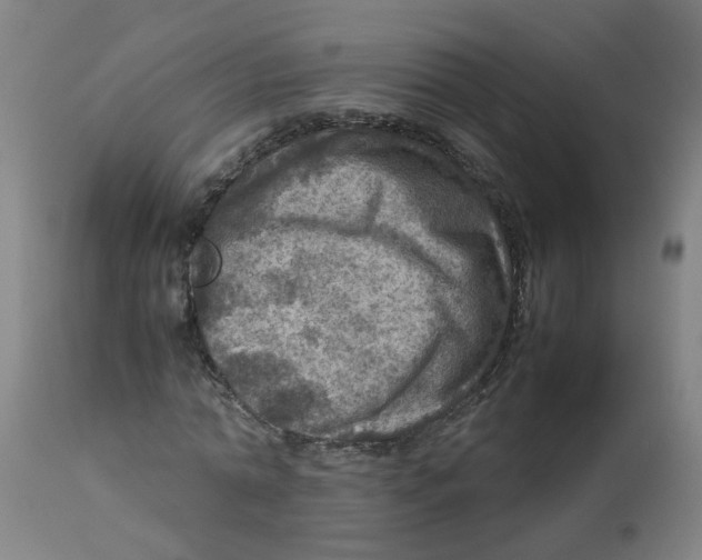 X0000112770774200909171312