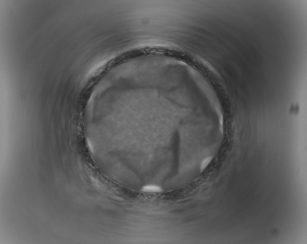 X0000112770775200909171312