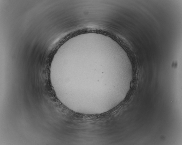 X0000112770776200909171312