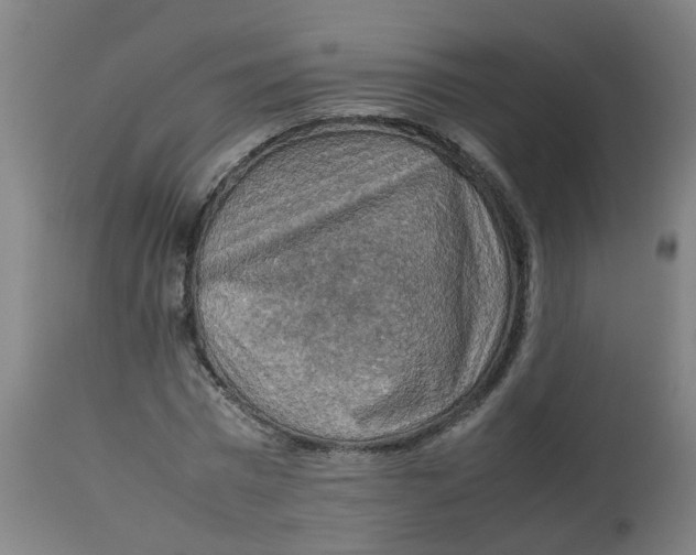 X0000112770777200909171312