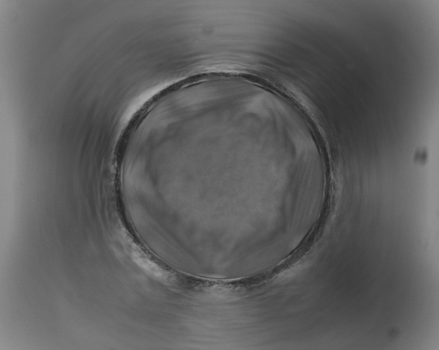 X0000112770779200909171312