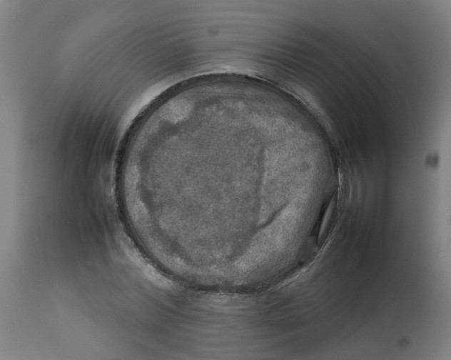 X0000112770780200909171312