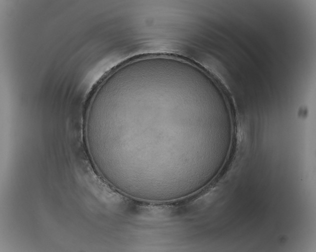 X0000112770781200909171312