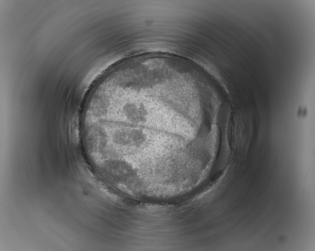 X0000112770782200909171312