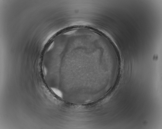 X0000112770783200909171312