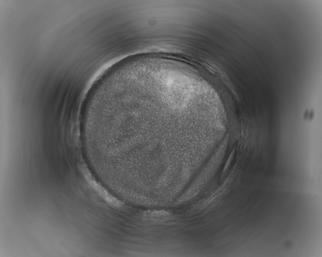 X0000112770784200909171312