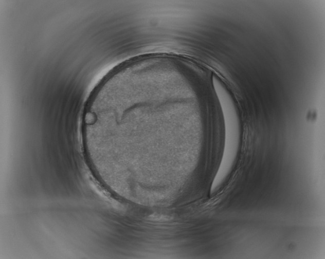 X0000112770788200909171312