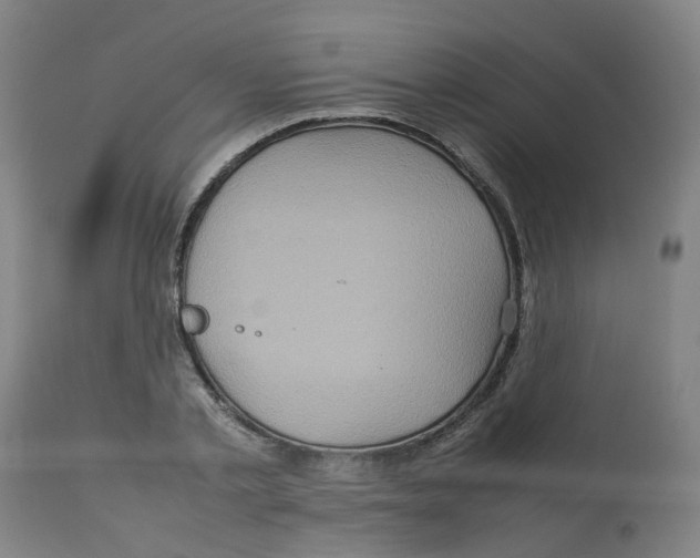 X0000112770789200909171312