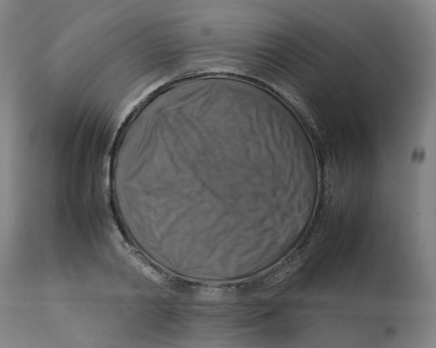 X0000112770790200909171312