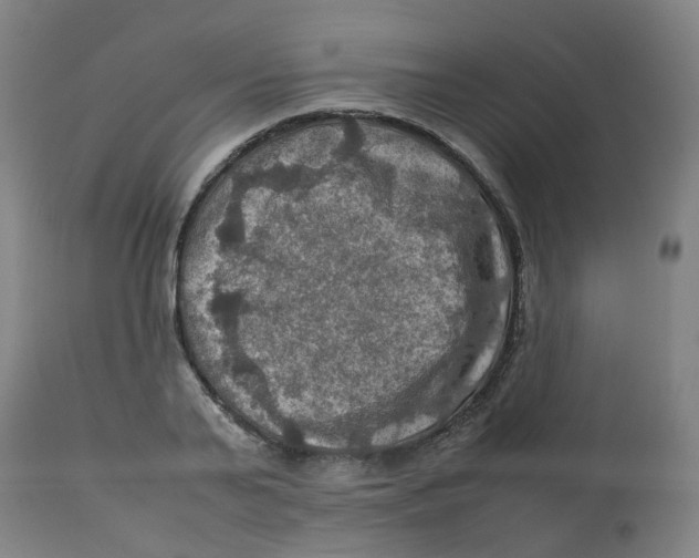 X0000112770791200909171312