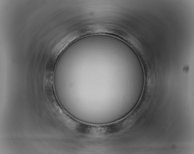 X0000112770793200909171312