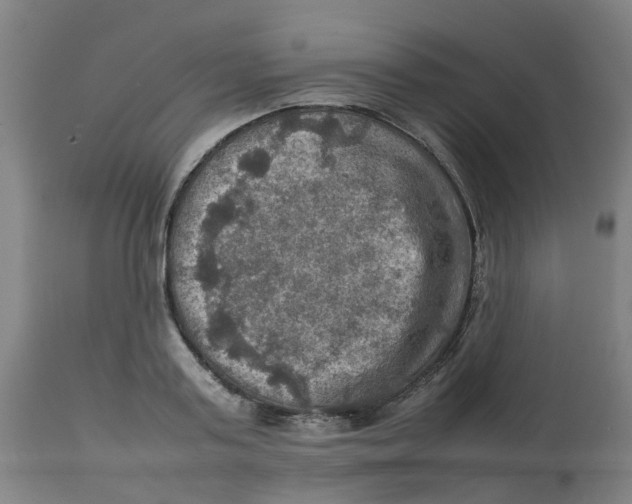 X0000112770795200909171312