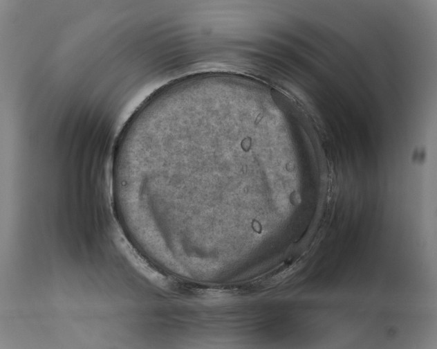 X0000112770796200909171312